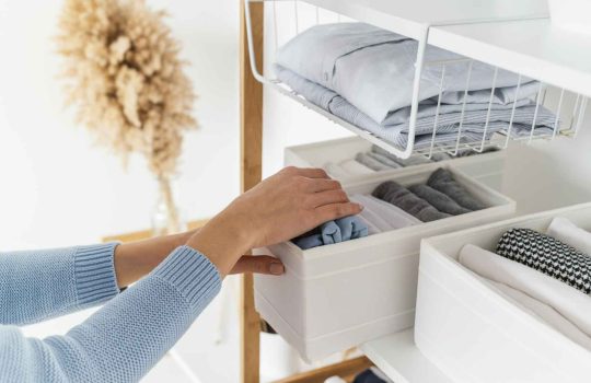 מה חשוב לדעת על מנדף ביולוגי2