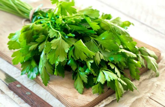 עלי מיקרו פטרוזיליה2